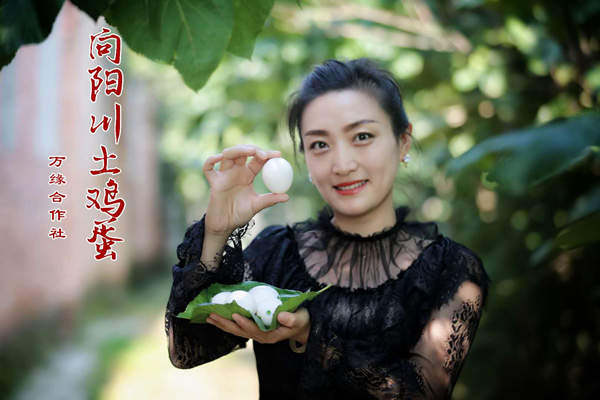 桑虫鸡蛋