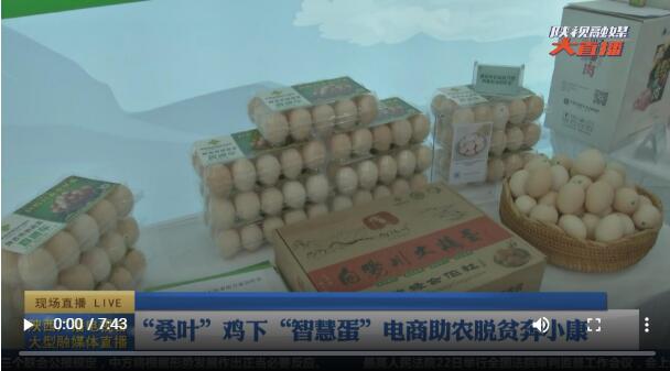 点击图片，看现场视频